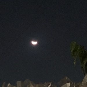 Meet your Posher, Zema